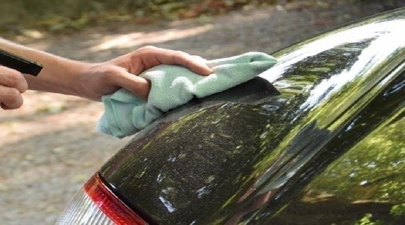 كيف تحمي سيارتك من فيروس كورونا