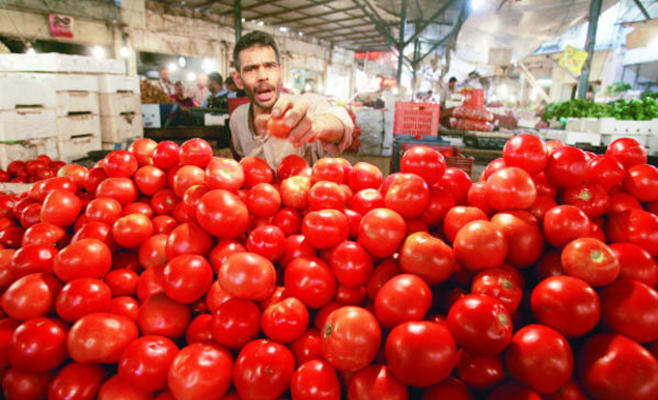 وزير الزراعة: وقف تصدير عدد من