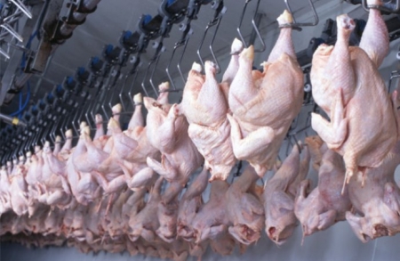 مسلخ عمان: ذبح المواشي اليوم و22800