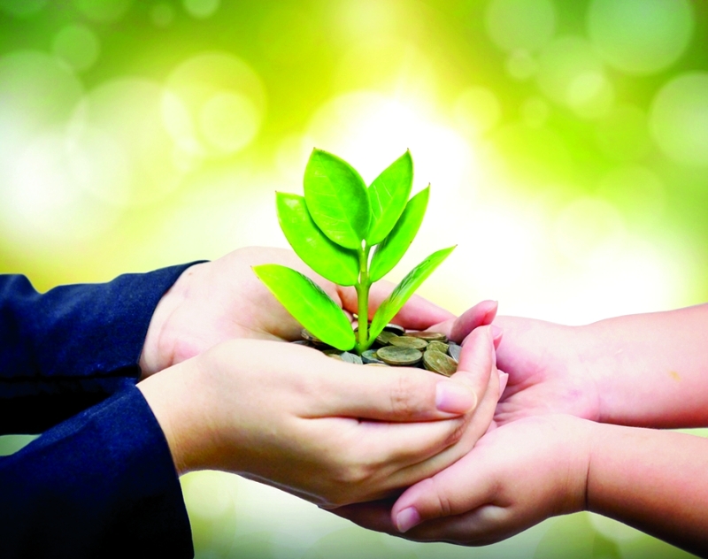 الصحة: ايداع التبرعات النقدية في حساب