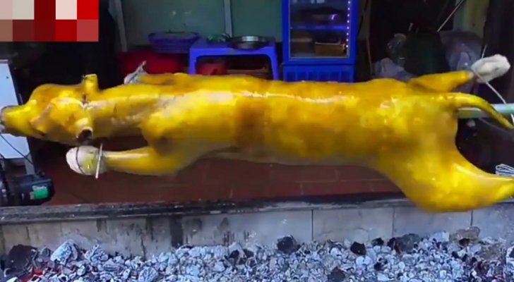 شنزن.. أول مدينة صينية تعلن حظر