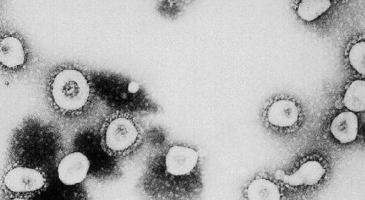 علماء يشككون في نظرية ووهان: كورونا