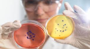 بعد المعاناة علاج الكورونا بجرعة واحدة