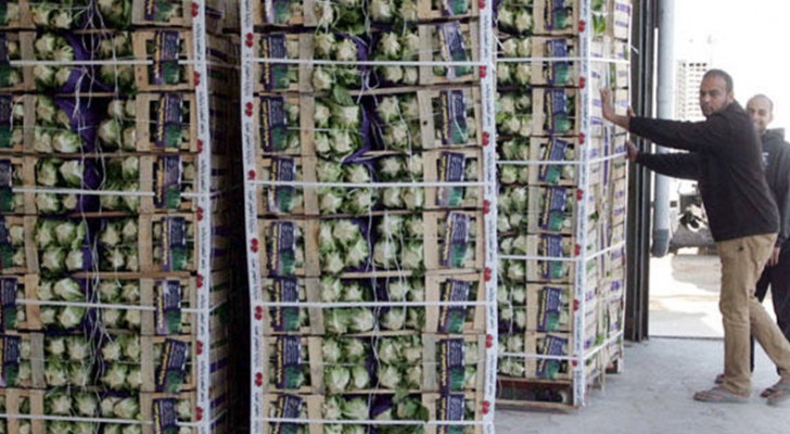 السوق القطري يعزز استيراد الخضار والفاكهة