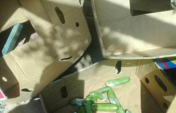 الفيديو المتداول لإتلاف كميّات كبيرة من