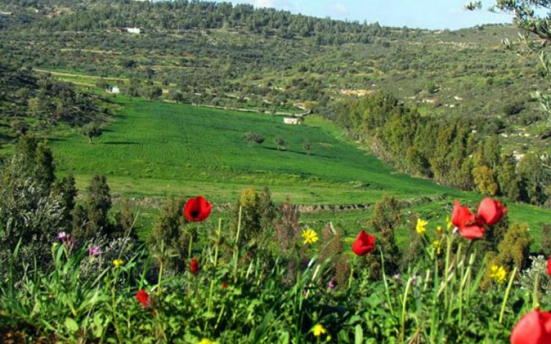 ارتفاع الحرارة وأجواء ربيعية لثلاثة أيام