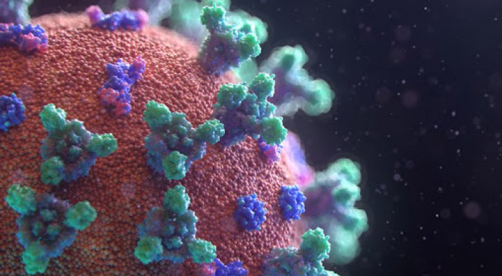 مسؤول أمريكي يشكك في أصل فيروس