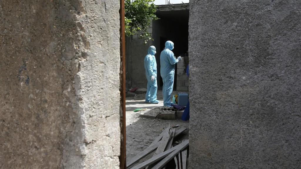 فحص 250 عينة عشوائية في مأدبا