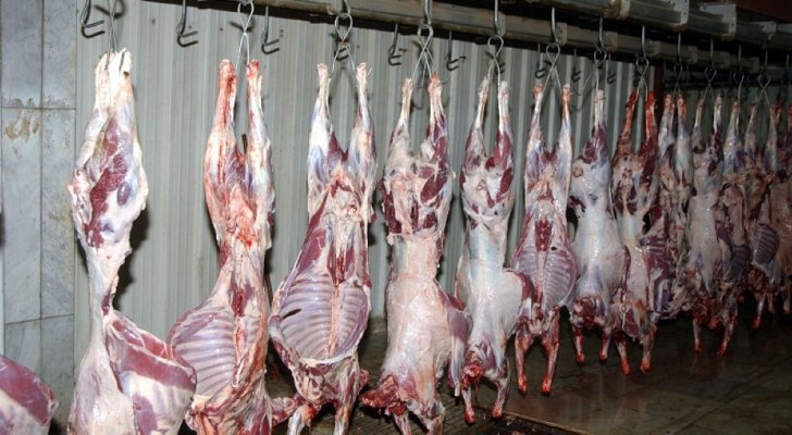 محافظ اربد: افتتاح مسلخ اربد بداية