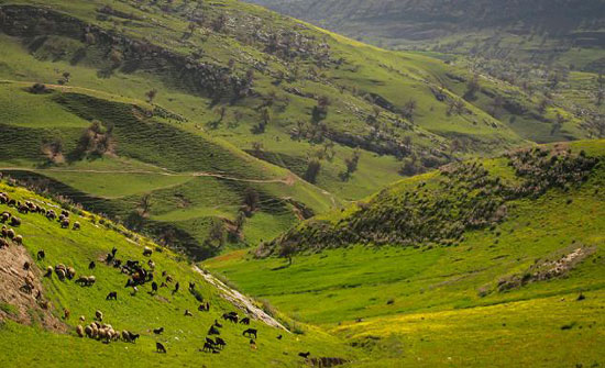 كتلة هوائية دافئة وأجواء ربيعية اليوم