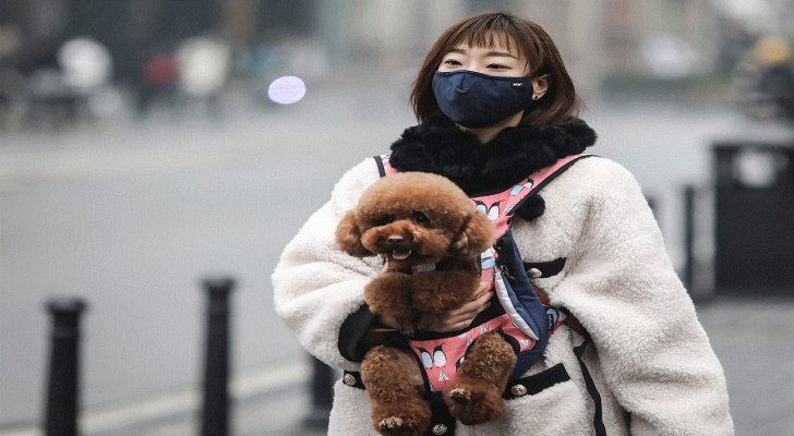 هل ينتقل كورونا من حيوان منزلي