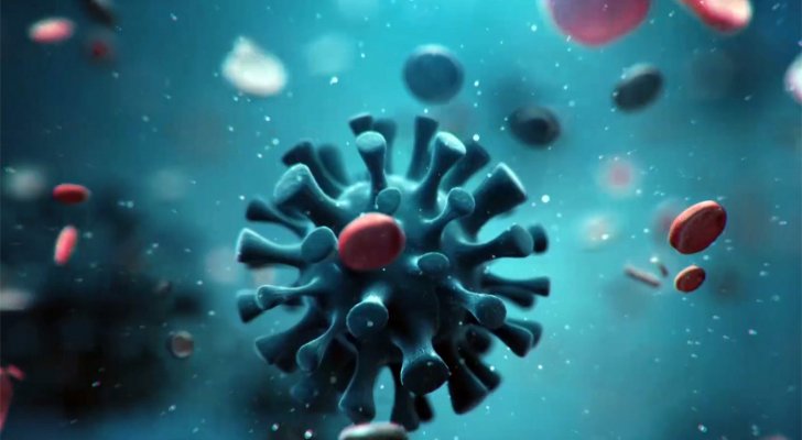 باحثون يتوصلون للمناطق التي يحبها فيروس