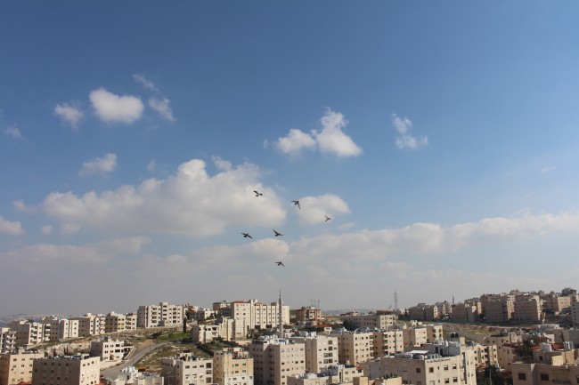 الإثنين.. حالة ضعيفة من عدم الاستقرار