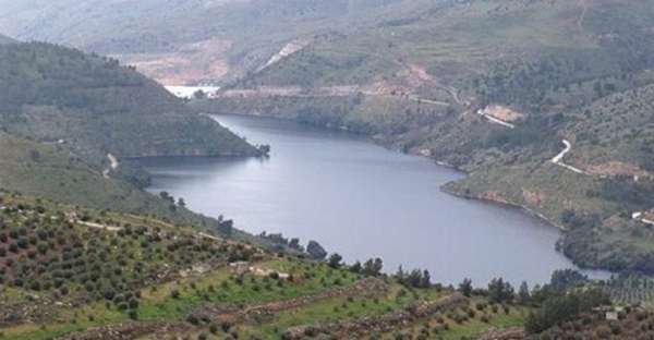 سلطة وادي الأردن تعفي المزارعين من