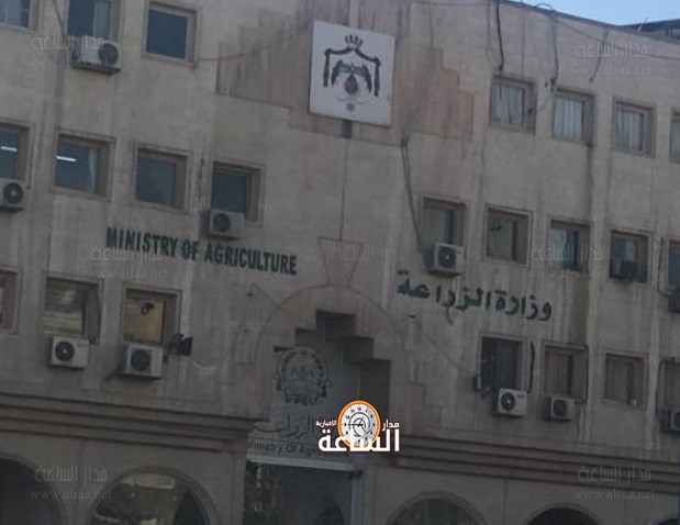 الزراعة توضح حول إعادة شحنة أغنام