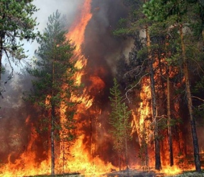 إصابة 5 من مرتبات الدفاع المدني