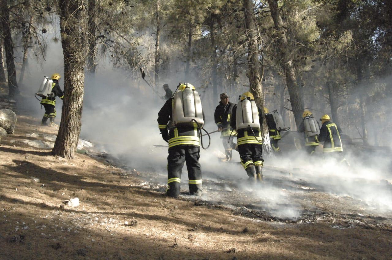 الدفاع المدني يتعامل مع 4101 حالة