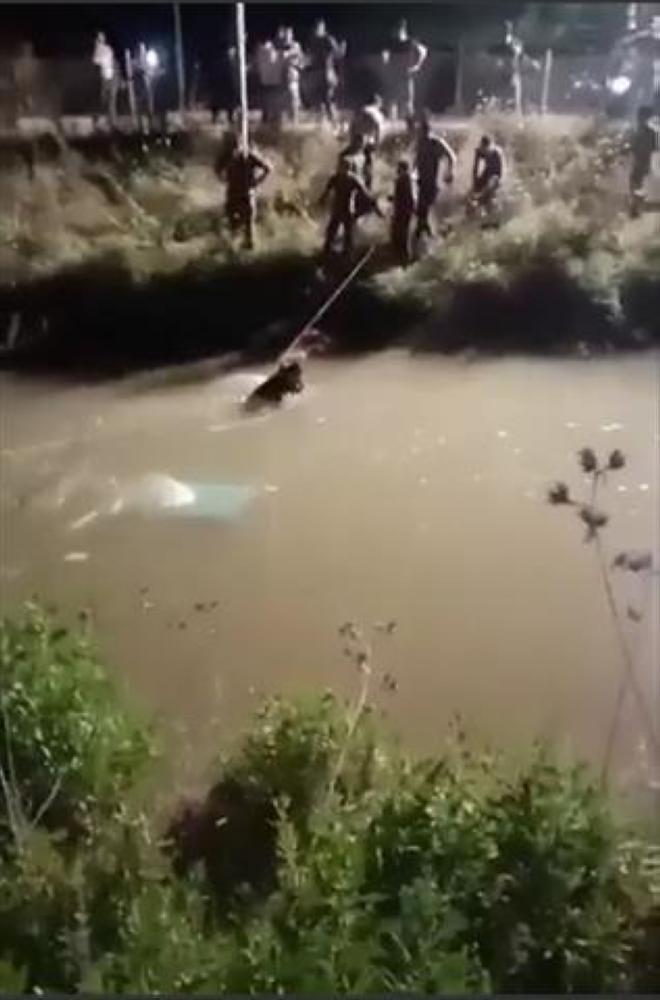 انتشال شخصين سقطت مركبتهما في قناة