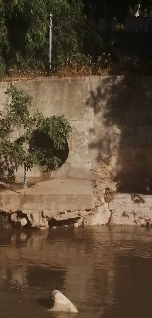 محطة السمرا توضح حول مياه سيل