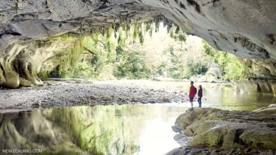 تاها 18 يوما في غابة «لورد