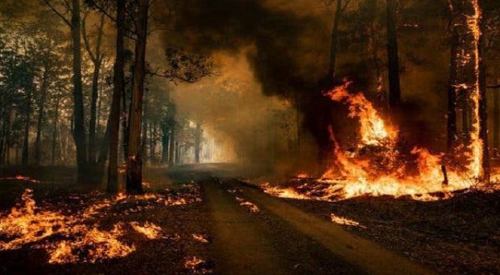 الحرائق تقضي على 500 هكتار من