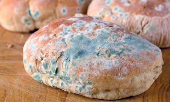 هذا ما يحصل في الجسم عند