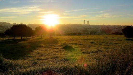 أجواء ربيعية بوجه عام وحارة نسبيا