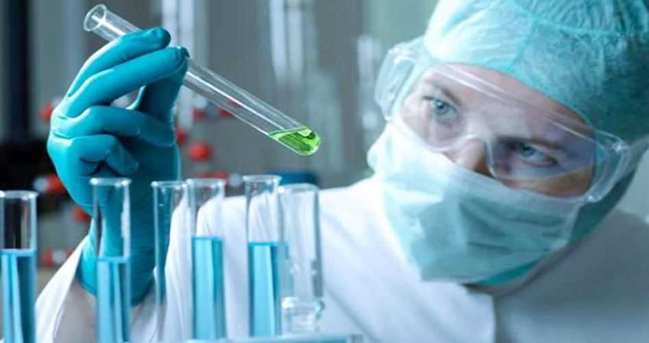 الحكومة تعلن دعمها للبحوث العلمية لمواجهة