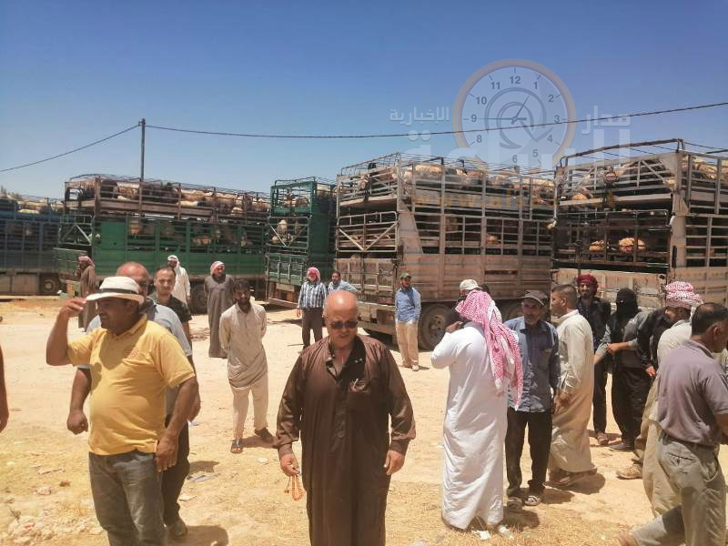 زراعة المفرق ترفض استقبال معاملات توزين