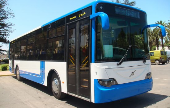 الحكومة تتجه إلى تنفيذ مشروع النقل