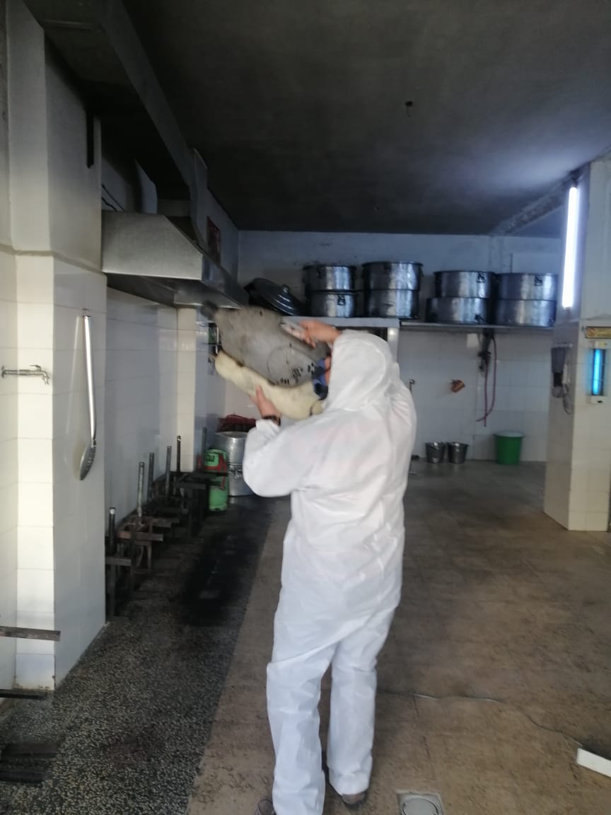 بالصور.. شركه السماء الزرقاء لمكافحه الحشرات