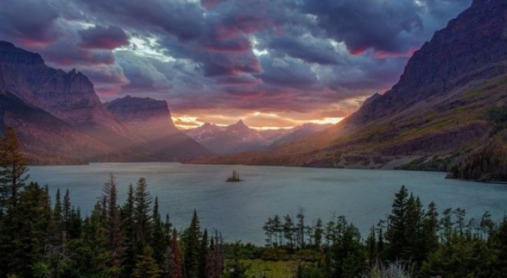 ما قصة الصورة التي تعطل هواتف