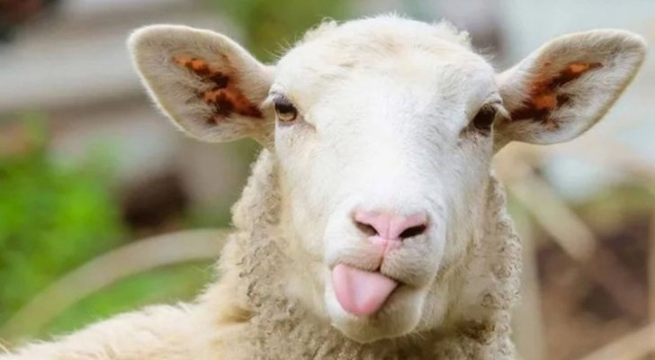 هذا موعد عيد الأضحى 2020 فلكيا