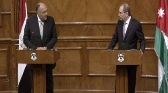 الصفدي يجري اتصالا هاتفيا مع سامح