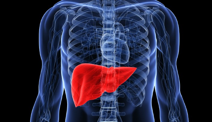 وظائف الكبد وطرق المحافظة على صحتها