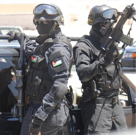 العضايلة: إجراء (139) تسوية من أصل