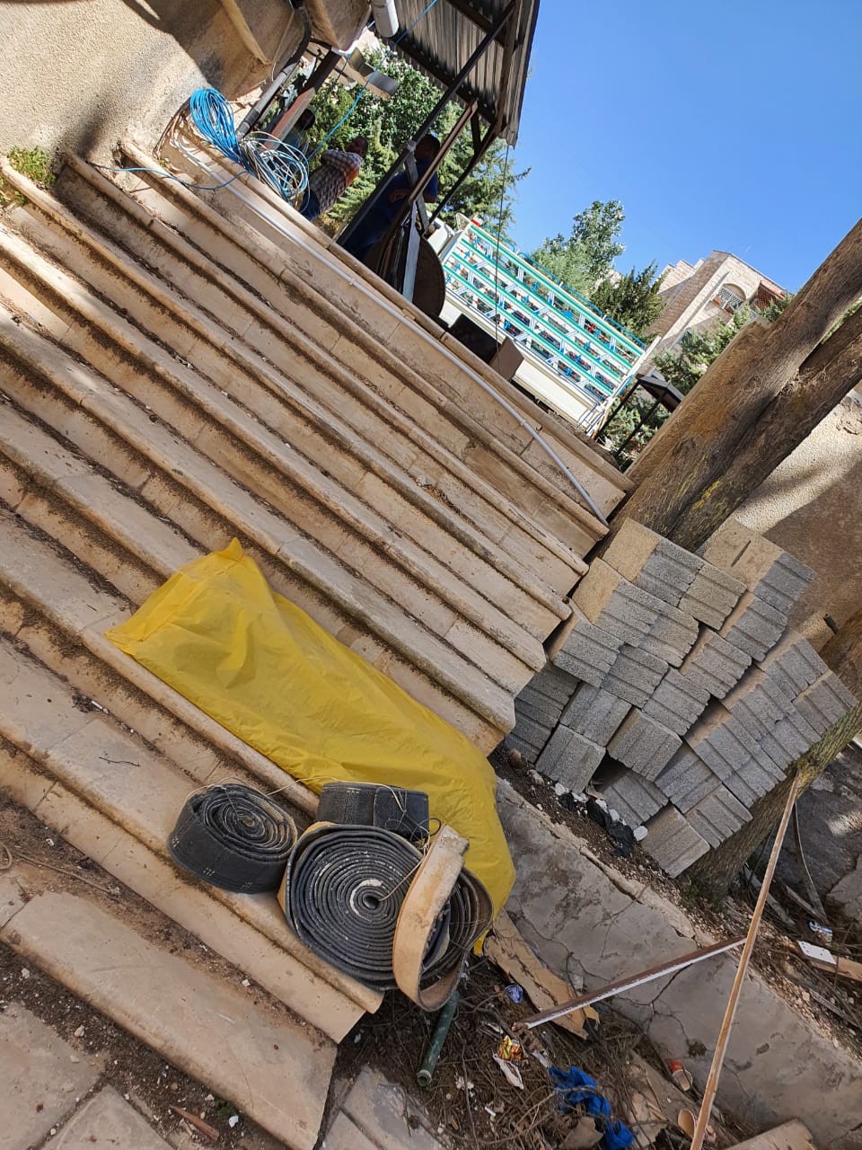 ’فأر‘ يثير حالة من ’الرعب‘ بين