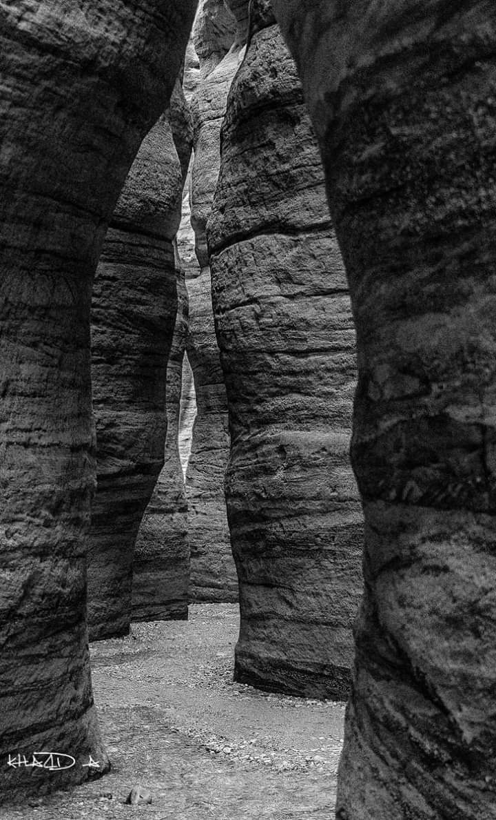 ملاعبة والعزوني يكتبان: روائع الطبيعة العملاقة