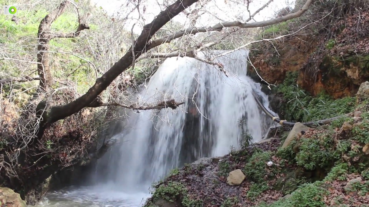 عجلون شلالات وادي راجب وجهة سياحية