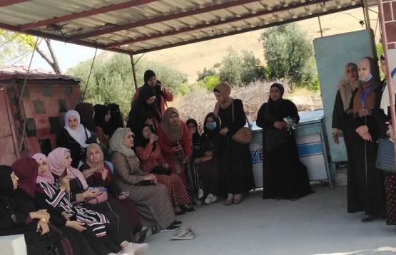 الشواربة: نسبة الانجاز في مشروع الباص