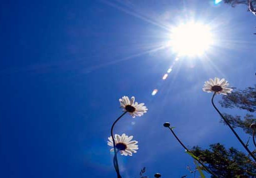 طقس مرتفع الحرارة في أغلب مناطق