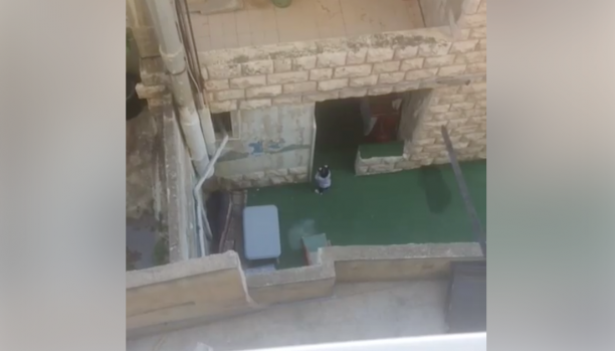 توقيف صاحبة الحضانة بسبب ’فيديو الإساءة