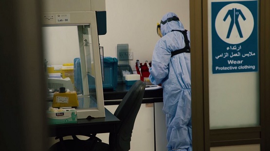 كم عدد المصابين بفيروس كورونا في