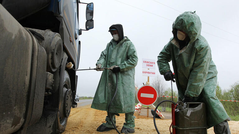 فرض الحجر الصحي بسبب طاعون الخنازير