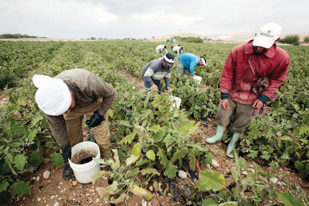 السماح للعمالة الوافدة الانتقال من صاحب