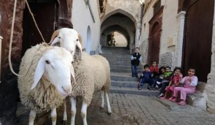 كيف ستكون عطلة عيد الأضحى في