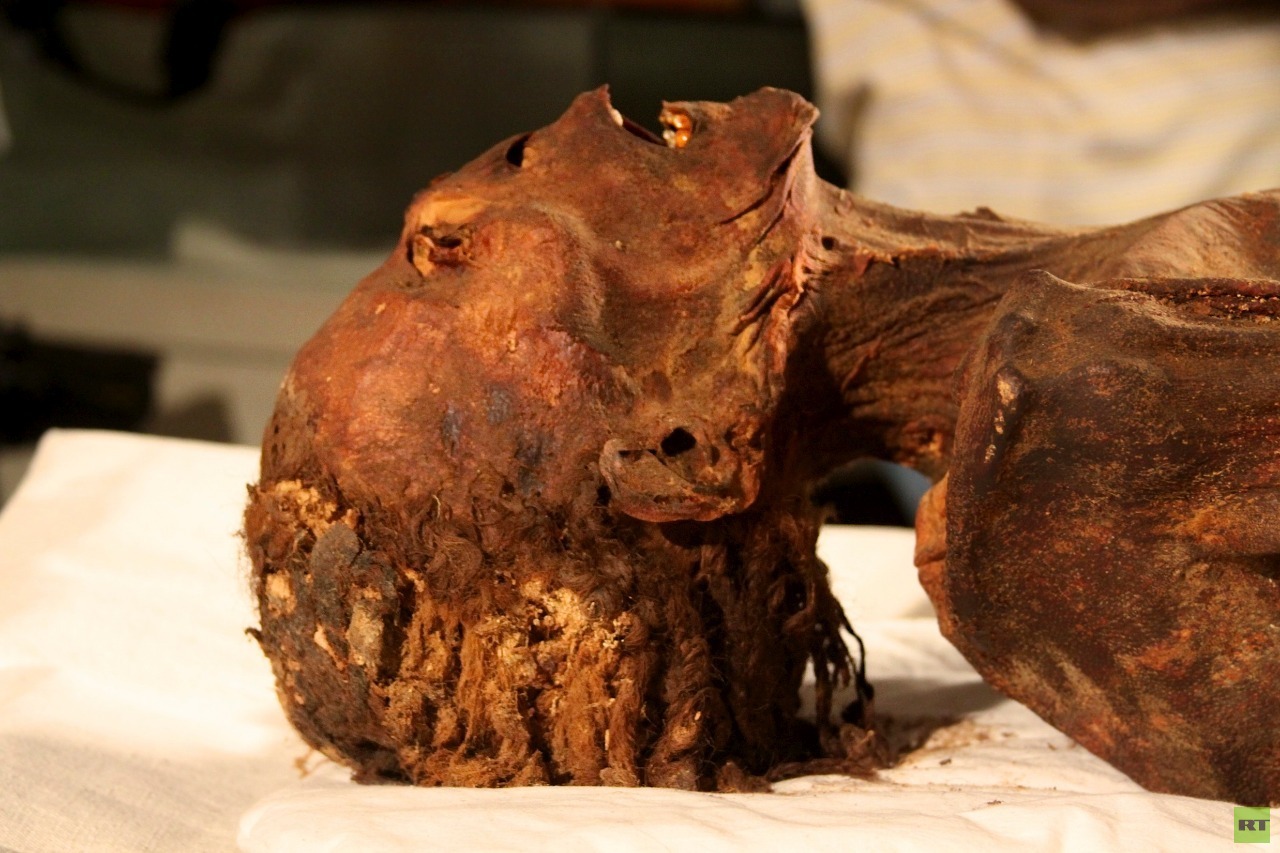 مصر.. حل لغز «مومياء المرأة الصارخة»