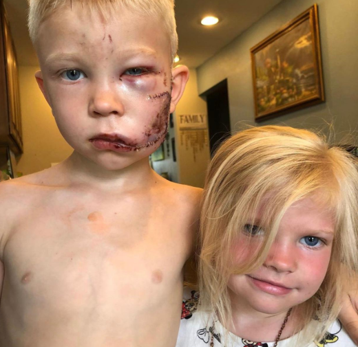 البطولة الفخرية من المجلس العالمي للملاكمة