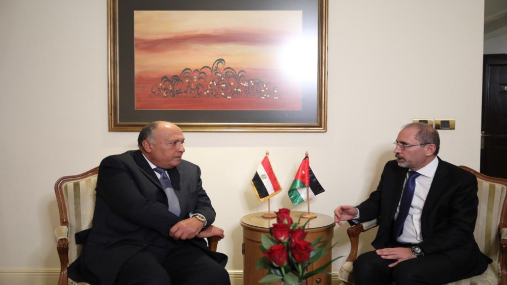 وزير الخارجية يستقبل نظيره المصري في