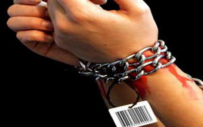 مصر.. البدء بمحاكمة شبكة إتجار بالبشر